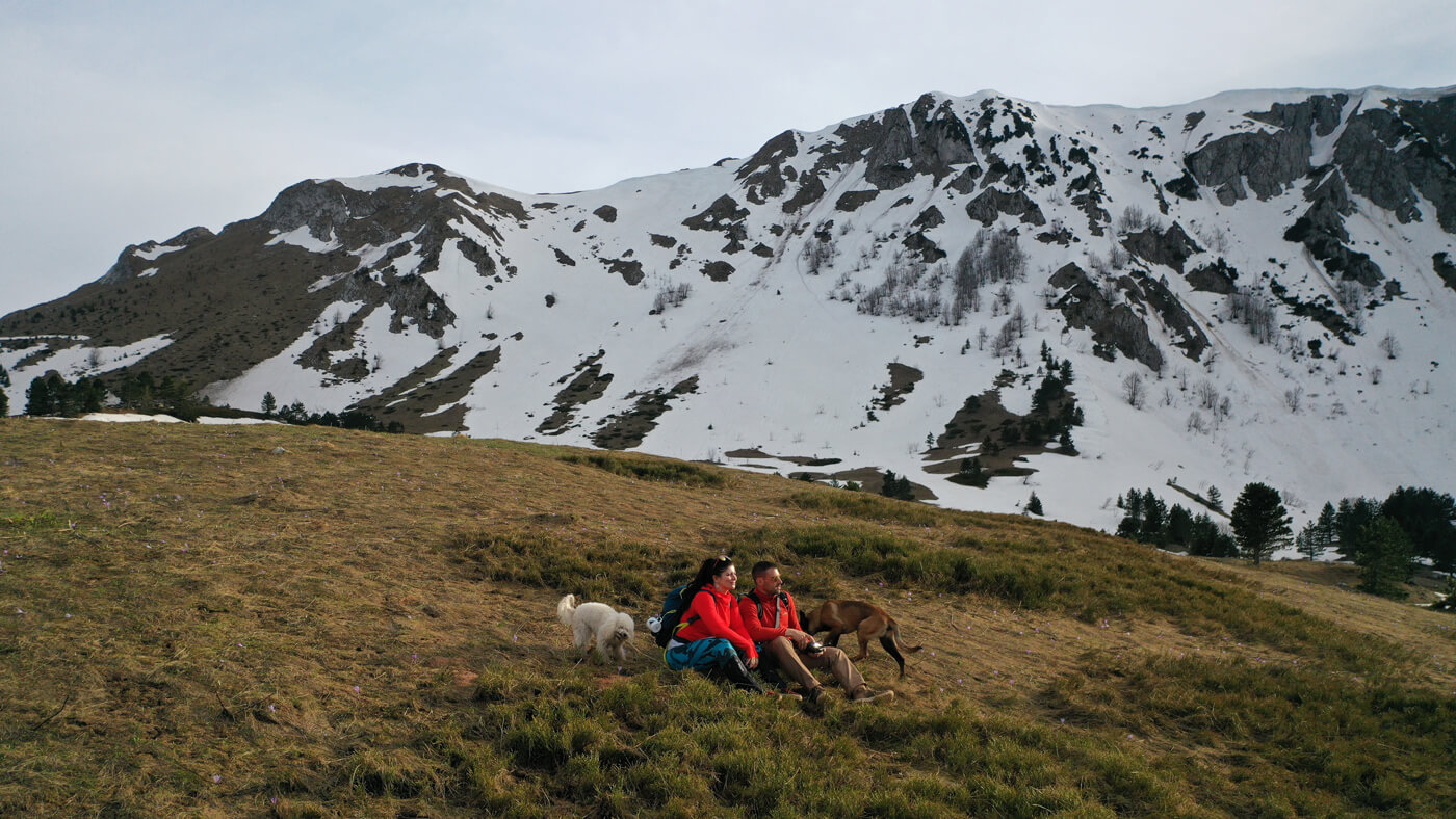 Ljudi i psi zajedno u prirodi na planini okruženi snežnim vrhovima