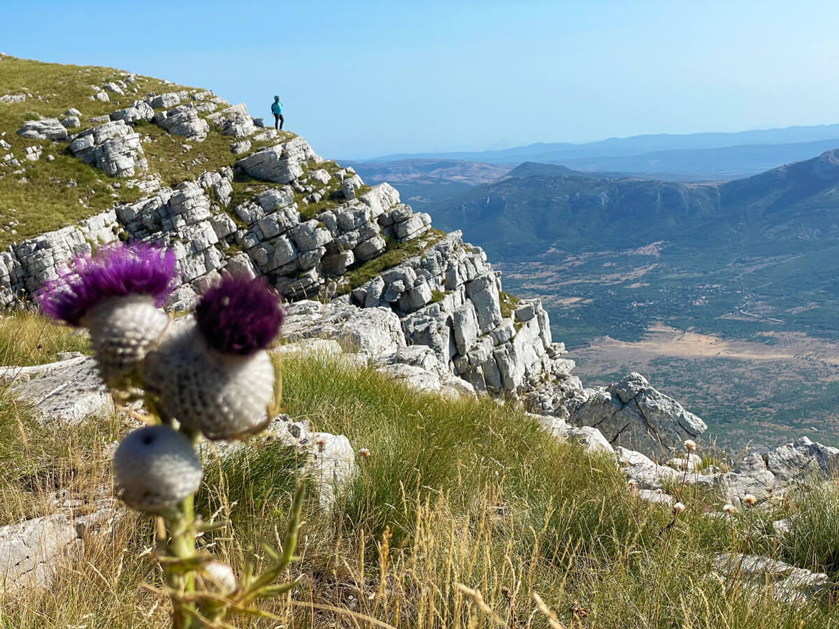 Vrh Ošljak, Dinara